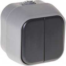 Interruptor Doble  Bert Ip54 Gris 7x7x5 Cm