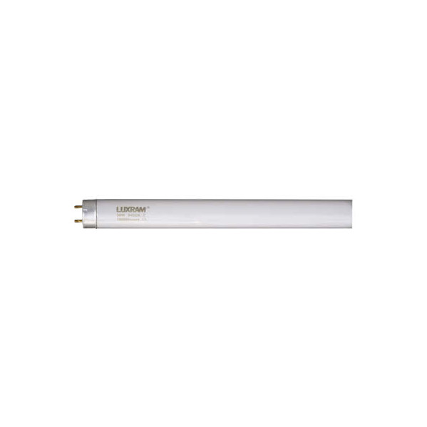 Tubo Recto T8 Tri-phosphor 26mm G13 58w 150cm 4000k Tubo Recto T8 Tri-phosphor 26mm G13 58w 150cm 4000k